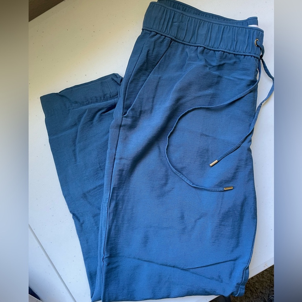 LOFT Women's Blue Ankle Pants